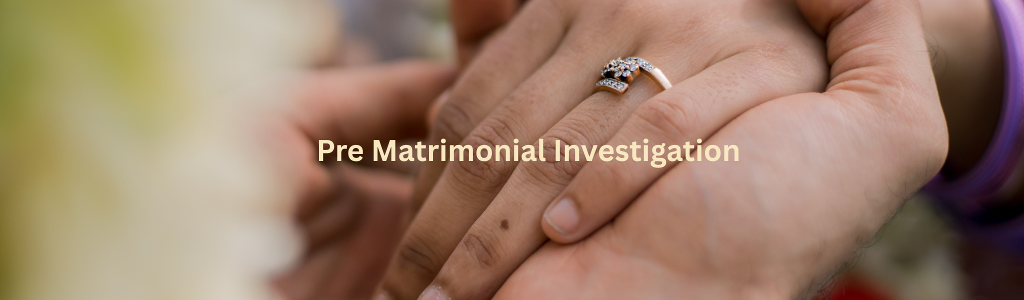 Pre Matrimonial Investigation ayanavaram